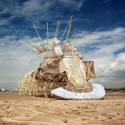 Theo Jansen's Strandbeest Dinosaur-like structure of PVC pipes that walks on the wind