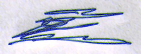 Signature in the form of a big E